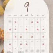 ヒメ日記 2025/09/28 08:01 投稿 音羽(おとは) 高崎回春性感SPA