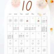 ヒメ日記 2025/10/04 08:00 投稿 音羽(おとは) 高崎回春性感SPA