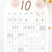 ヒメ日記 2025/10/06 10:01 投稿 音羽(おとは) 高崎回春性感SPA