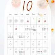 ヒメ日記 2025/10/08 00:02 投稿 音羽(おとは) 高崎回春性感SPA