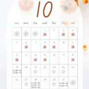 ヒメ日記 2025/10/19 10:01 投稿 音羽(おとは) 高崎回春性感SPA