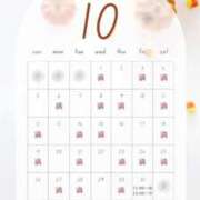 ヒメ日記 2025/10/30 00:12 投稿 音羽(おとは) 高崎回春性感SPA