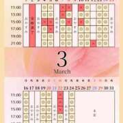 ヒメ日記 2026/03/04 00:01 投稿 音羽(おとは) 高崎回春性感SPA