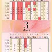 ヒメ日記 2026/03/06 00:01 投稿 音羽(おとは) 高崎回春性感SPA