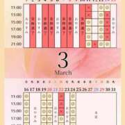 ヒメ日記 2026/03/11 00:01 投稿 音羽(おとは) 高崎回春性感SPA