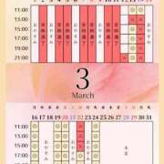 ヒメ日記 2026/03/12 00:01 投稿 音羽(おとは) 高崎回春性感SPA