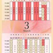 ヒメ日記 2026/03/13 00:02 投稿 音羽(おとは) 高崎回春性感SPA