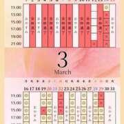 ヒメ日記 2026/03/14 00:02 投稿 音羽(おとは) 高崎回春性感SPA