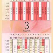 ヒメ日記 2026/03/15 00:01 投稿 音羽(おとは) 高崎回春性感SPA