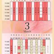 ヒメ日記 2026/03/17 00:05 投稿 音羽(おとは) 高崎回春性感SPA