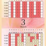 ヒメ日記 2026/03/20 00:02 投稿 音羽(おとは) 高崎回春性感SPA