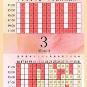 ヒメ日記 2026/03/21 00:07 投稿 音羽(おとは) 高崎回春性感SPA