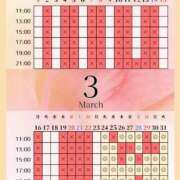 ヒメ日記 2026/03/23 00:02 投稿 音羽(おとは) 高崎回春性感SPA