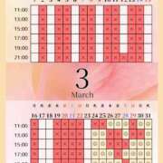 ヒメ日記 2026/03/24 00:01 投稿 音羽(おとは) 高崎回春性感SPA