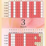 ヒメ日記 2026/03/27 00:11 投稿 音羽(おとは) 高崎回春性感SPA