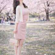 ヒメ日記 2026/03/29 03:00 投稿 音羽(おとは) 高崎回春性感SPA