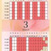 ヒメ日記 2026/03/29 04:00 投稿 音羽(おとは) 高崎回春性感SPA