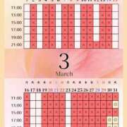 ヒメ日記 2026/03/30 04:00 投稿 音羽(おとは) 高崎回春性感SPA