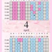 ヒメ日記 2026/04/08 00:00 投稿 音羽(おとは) 高崎回春性感SPA