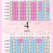 ヒメ日記 2026/04/12 00:01 投稿 音羽(おとは) 高崎回春性感SPA