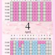 ヒメ日記 2026/04/17 04:00 投稿 音羽(おとは) 高崎回春性感SPA