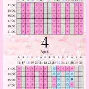 ヒメ日記 2026/04/23 04:00 投稿 音羽(おとは) 高崎回春性感SPA