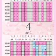 ヒメ日記 2026/04/24 00:01 投稿 音羽(おとは) 高崎回春性感SPA