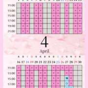 ヒメ日記 2026/04/26 04:00 投稿 音羽(おとは) 高崎回春性感SPA