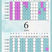 ヒメ日記 2026/06/05 04:00 投稿 音羽(おとは) 高崎回春性感SPA