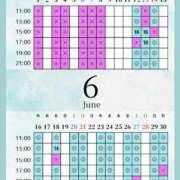 ヒメ日記 2026/06/10 00:00 投稿 音羽(おとは) 高崎回春性感SPA
