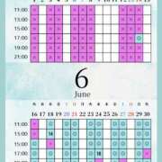 ヒメ日記 2026/06/14 04:00 投稿 音羽(おとは) 高崎回春性感SPA