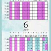 ヒメ日記 2026/06/22 04:00 投稿 音羽(おとは) 高崎回春性感SPA