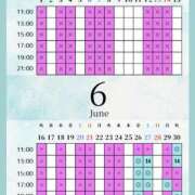 ヒメ日記 2026/06/24 04:00 投稿 音羽(おとは) 高崎回春性感SPA