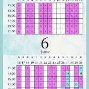 ヒメ日記 2026/06/25 04:00 投稿 音羽(おとは) 高崎回春性感SPA