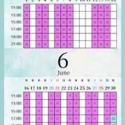 ヒメ日記 2026/06/30 04:00 投稿 音羽(おとは) 高崎回春性感SPA