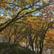 ヒメ日記 2025/10/28 17:18 投稿 小山内　れい プルプル倶楽部 札幌すすきの店