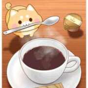 ヒメ日記 2025/06/05 13:24 投稿 桜 マッタリ熟女