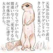 ヒメ日記 2025/06/06 08:36 投稿 桜 マッタリ熟女