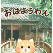 ヒメ日記 2025/06/17 07:48 投稿 桜 マッタリ熟女