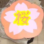 ヒメ日記 2025/06/20 10:21 投稿 桜 マッタリ熟女