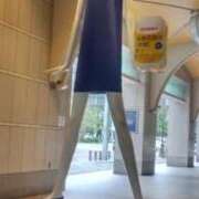 ヒメ日記 2025/06/23 17:06 投稿 桜 マッタリ熟女