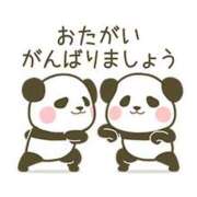 ヒメ日記 2025/07/02 08:36 投稿 桜 マッタリ熟女