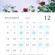 ヒメ日記 2025/12/06 11:53 投稿 あかり TOKYO BUNNYS CLUB