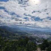 ヒメ日記 2025/06/04 10:25 投稿 りさ 熟女総本店 堺東店