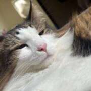 ヒメ日記 2025/10/29 11:06 投稿 ころん 丸妻 新横浜店