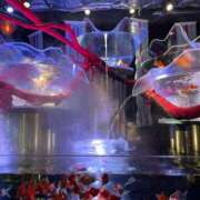 ヒメ日記 2025/06/25 11:02 投稿 やくも 丸妻 新横浜店