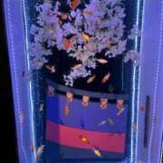 ヒメ日記 2025/08/17 18:35 投稿 やくも 丸妻 新横浜店