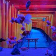 ヒメ日記 2025/09/17 11:13 投稿 やくも 丸妻 新横浜店