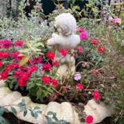 ヒメ日記 2025/11/13 13:45 投稿 やくも 丸妻 新横浜店