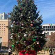 ヒメ日記 2025/12/15 18:31 投稿 やくも 丸妻 新横浜店